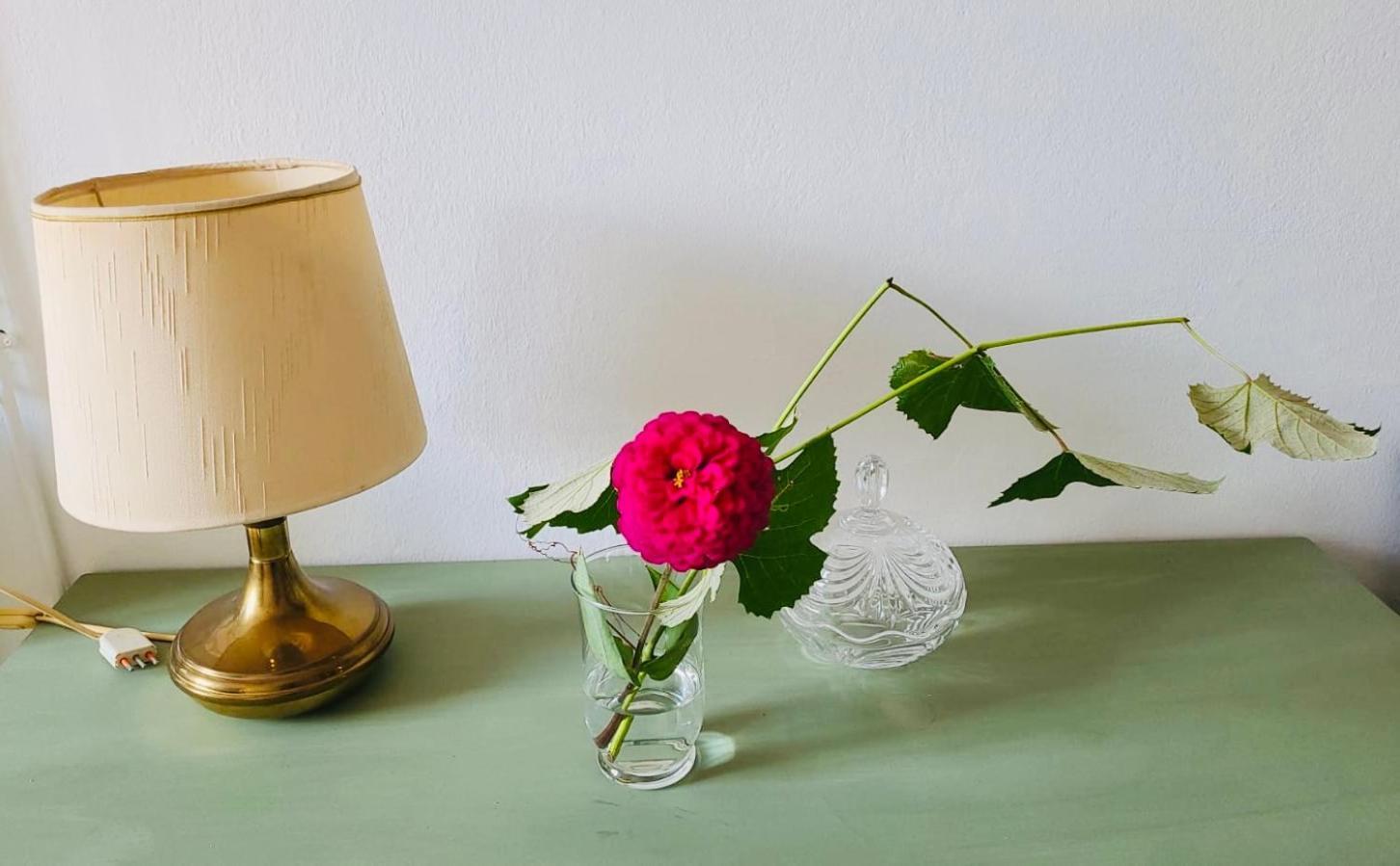 Antica Casa Storica Con Giardino Lejlighed Domodossola Eksteriør billede